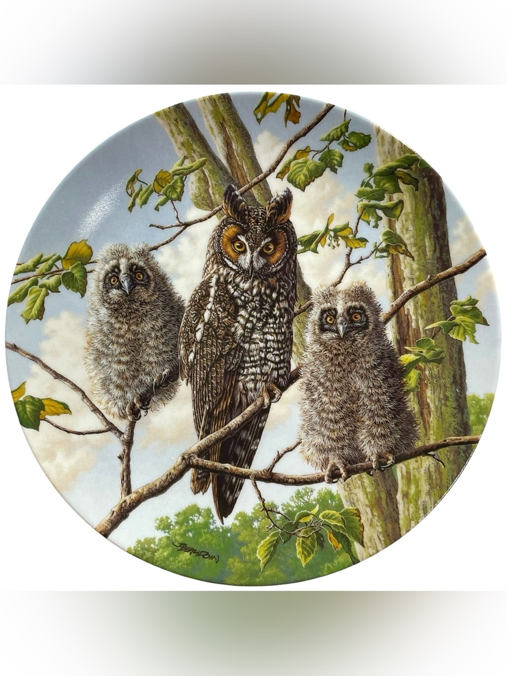 Vintage 1990s Treetop Trio Long-Eared Owls Collectors Plate Artist Jim Beaudoin